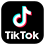 カーボイスticktok